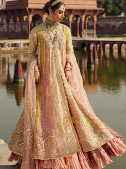 Dream Crushed Kalidar Lehenga Set