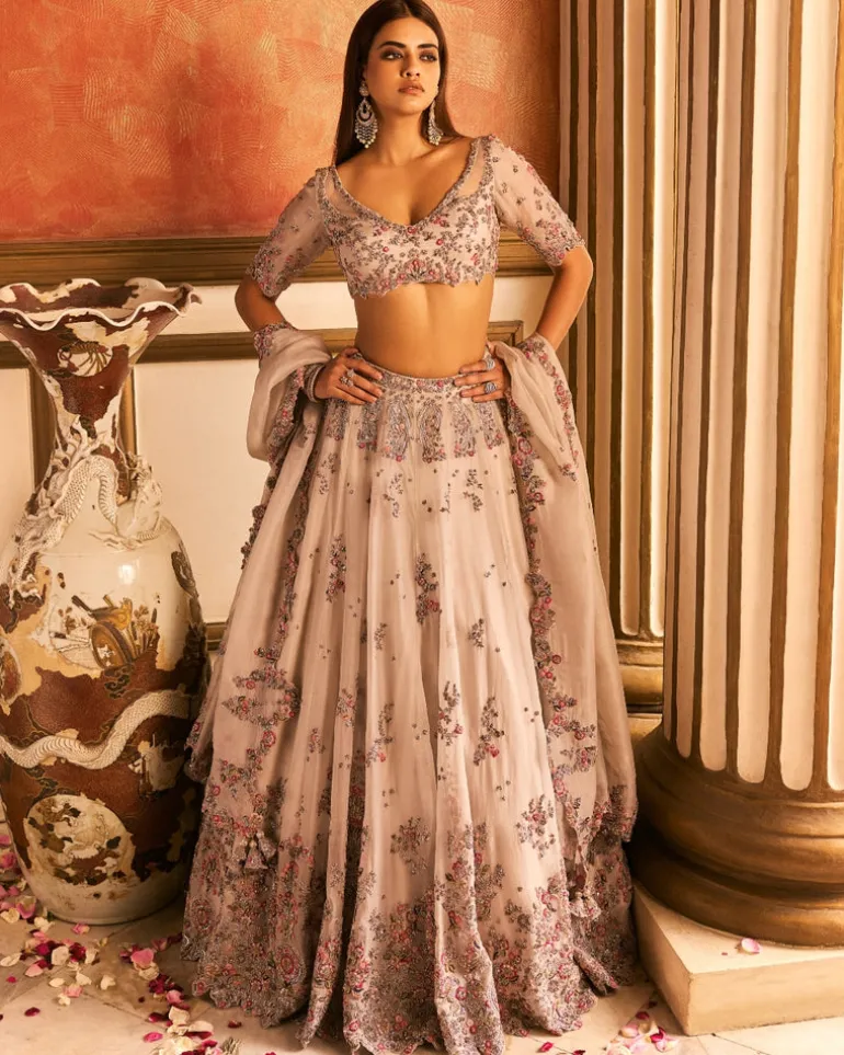Dulect Lehenga Set