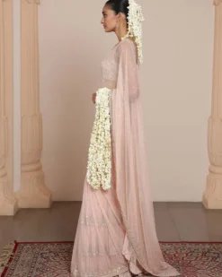 Dust Pink Mirror And Sequin Sari Set