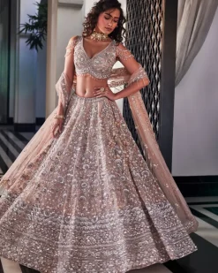 Dusty Brown Embroidered Lehenga Set