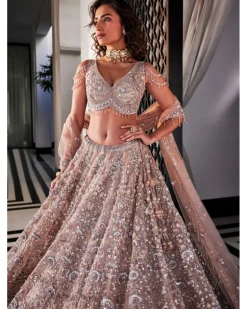 Dusty Brown Embroidered Lehenga Set