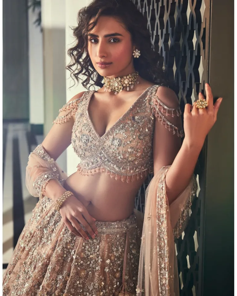 Dusty Brown Embroidered Lehenga Set