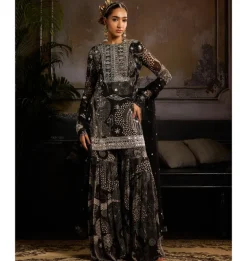 Ebon Glow Kurti Set