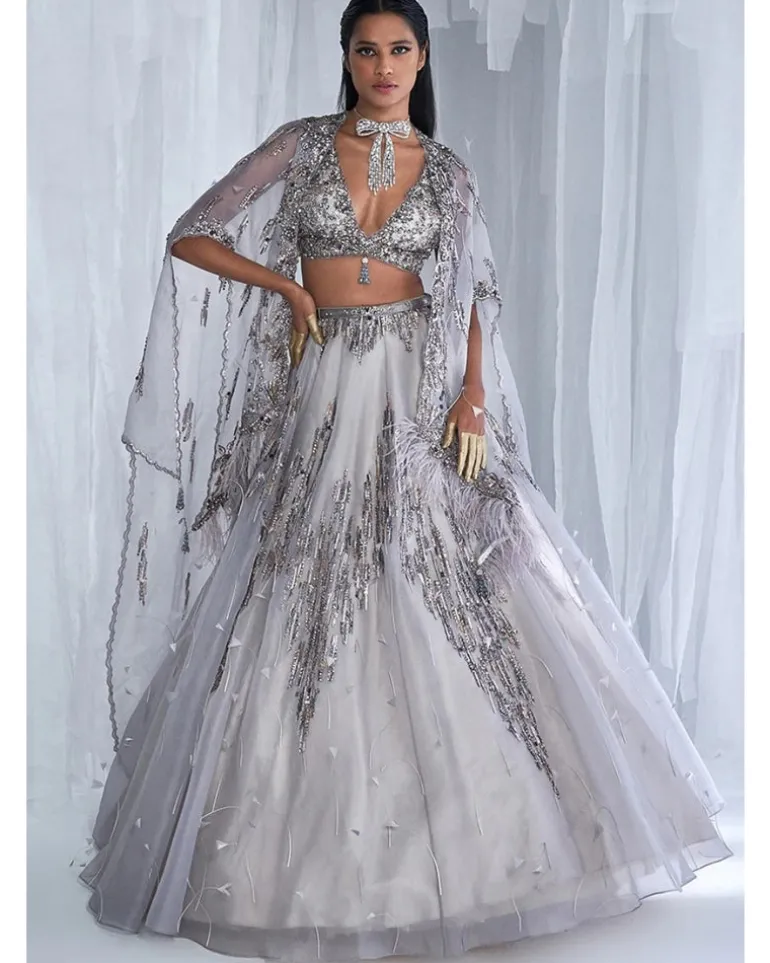 Elaheh Silk Organza Lehenga Set With A Cape
