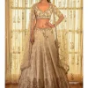 Ellie Georgette Chikankari Lehenga With Tilla Work