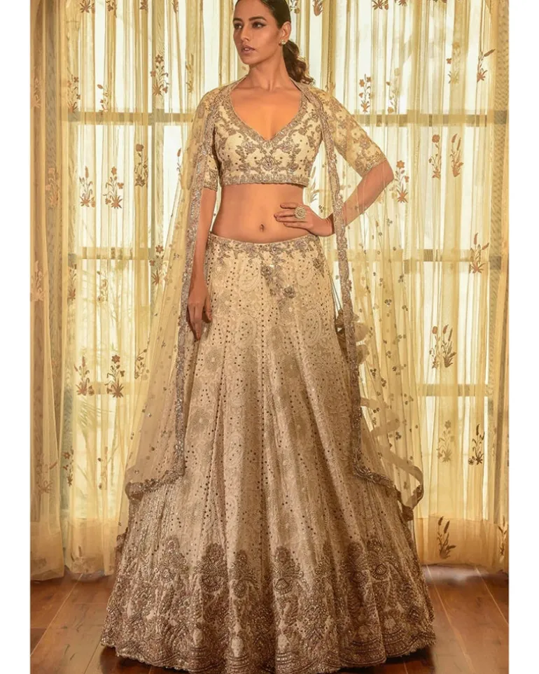 Ellie Georgette Chikankari Lehenga With Tilla Work