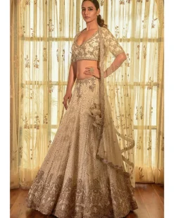 Ellie Georgette Chikankari Lehenga With Tilla Work