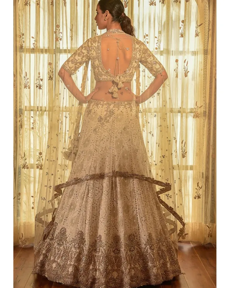 Ellie Georgette Chikankari Lehenga With Tilla Work