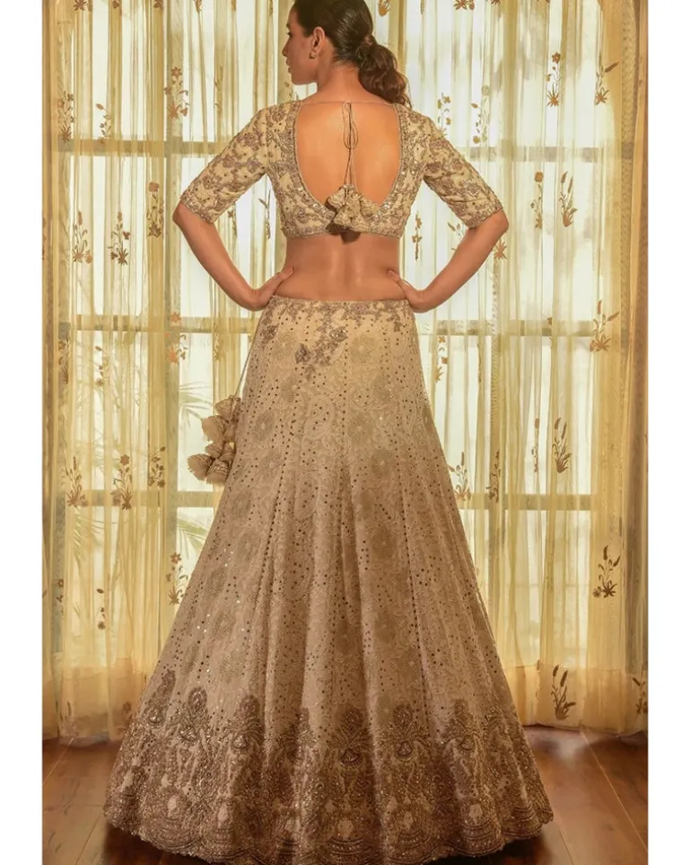Ellie Georgette Chikankari Lehenga With Tilla Work