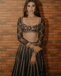 Elnaaz Lehenga Set