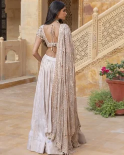 Embroidered Blouse with Silver Tissue Skirt Set