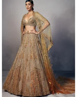 Emma Shimmer Tulle Bridal Lehenga & Cape Set