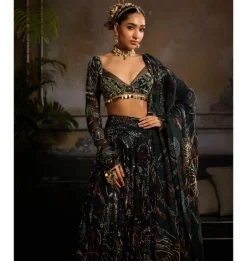 Enchanted Evergreen Lehenga Set