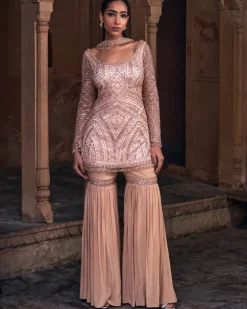 Endote Champagne Gold Embroidered Gharara Set