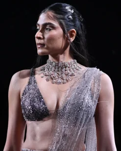 Eres Lehenga Sari Set