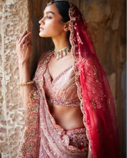 Eris Red Raw Silk Bridal Lehenga