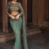 Esmeralda Sage Green Embroidered Sari Set