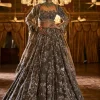 Falaknuma Antique Brown Tissue Lehenga Set