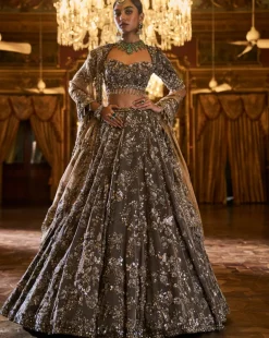 Falaknuma Antique Brown Tissue Lehenga Set