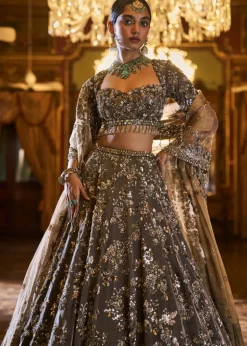 Falaknuma Antique Brown Tissue Lehenga Set