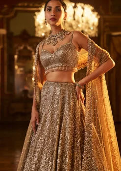 Falaknuma Antique Gold Sequin Lehenga Set