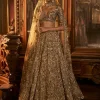 Falaknuma Antique Gold Tissue Lehenga Set