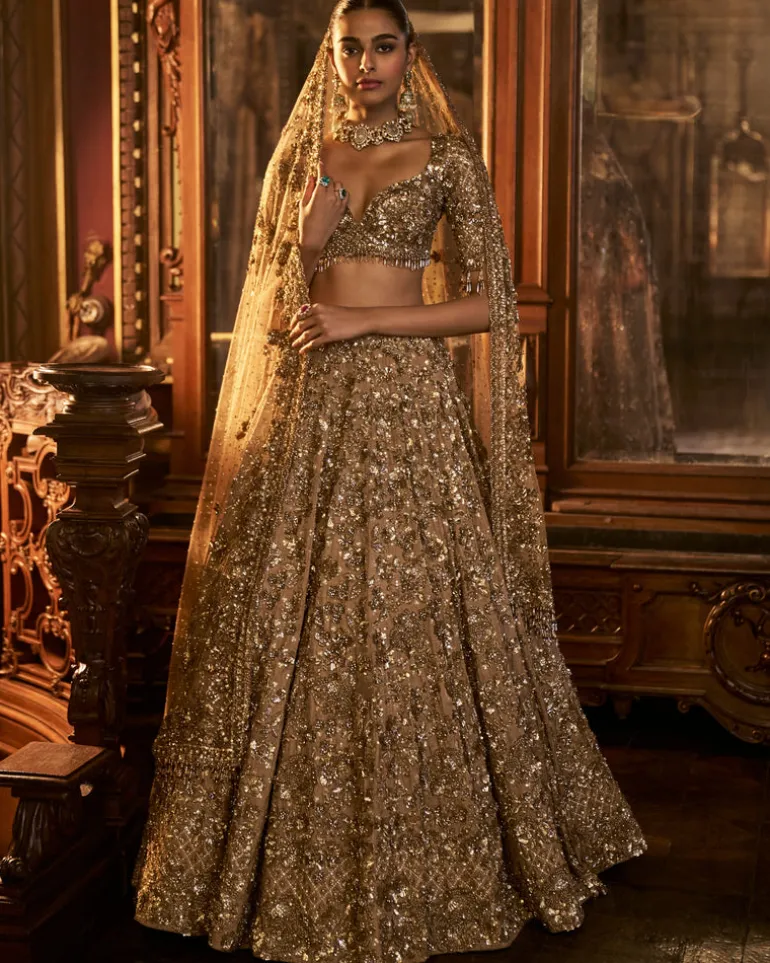 Falaknuma Antique Gold Tissue Lehenga Set