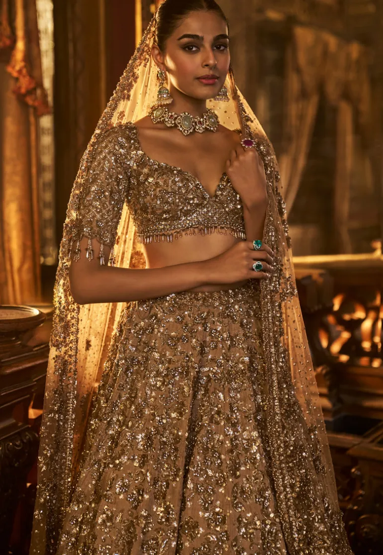 Falaknuma Antique Gold Tissue Lehenga Set
