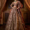 Falaknuma Bronze Tissue Lehenga Set