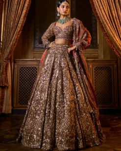 Falaknuma Bronze Tissue Lehenga Set