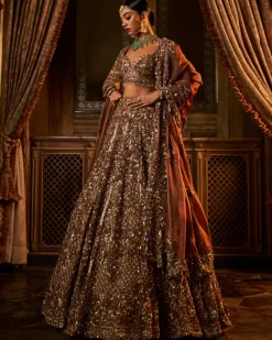 Falaknuma Bronze Tissue Lehenga Set