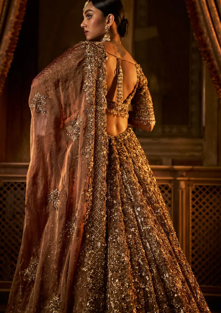 Falaknuma Bronze Tissue Lehenga Set