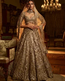 Falaknuma Gold Cut Work Lehenga Set