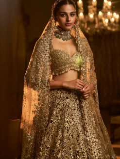 Falaknuma Gold Cut Work Lehenga Set