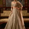 Falaknuma Gold Silver Tissue Lehenga Set