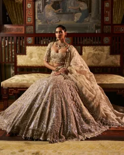 Falaknuma Gold Silver Tissue Lehenga Set