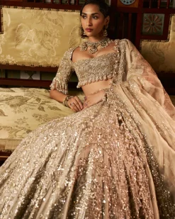 Falaknuma Gold Silver Tissue Lehenga Set