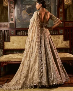 Falaknuma Gold Silver Tissue Lehenga Set