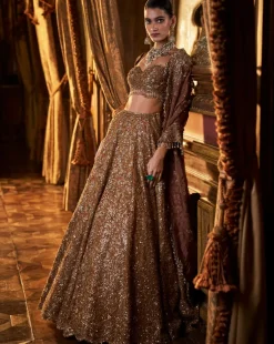Falaknuma Mustard Tissue Lehenga Set