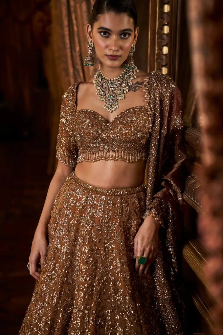 Falaknuma Mustard Tissue Lehenga Set