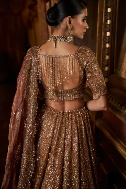 Falaknuma Mustard Tissue Lehenga Set