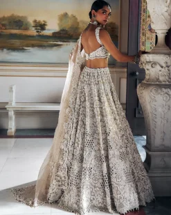 Falaknuma Nude Pearl Cut Work Lehenga Set