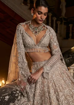 Falaknuma Nude Silver Cutwork Lehenga Set