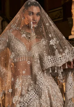 Falaknuma Nude Silver Cutwork Lehenga Set