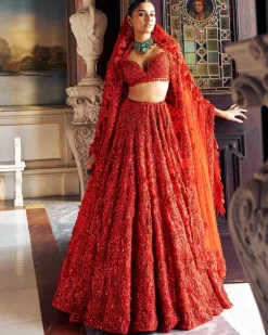 Falaknuma Red Three-dimensional Floral Lehenga Set