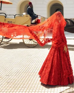 Falaknuma Red Three-dimensional Floral Lehenga Set