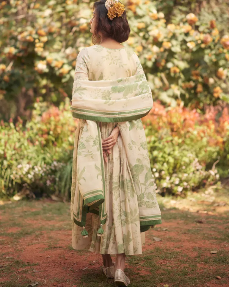Fern Anarkali Set
