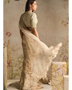 Flamboyance Sari Set