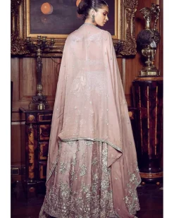 French Rose Aurum Tissue Lehenga Set