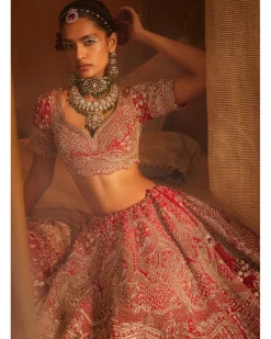Frosty Lehenga Set